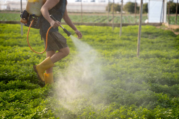 Best Local Pest Control Services  in Norwood, OH