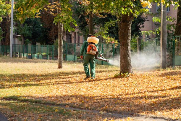 Best Residential Pest Control  in Norwood, OH
